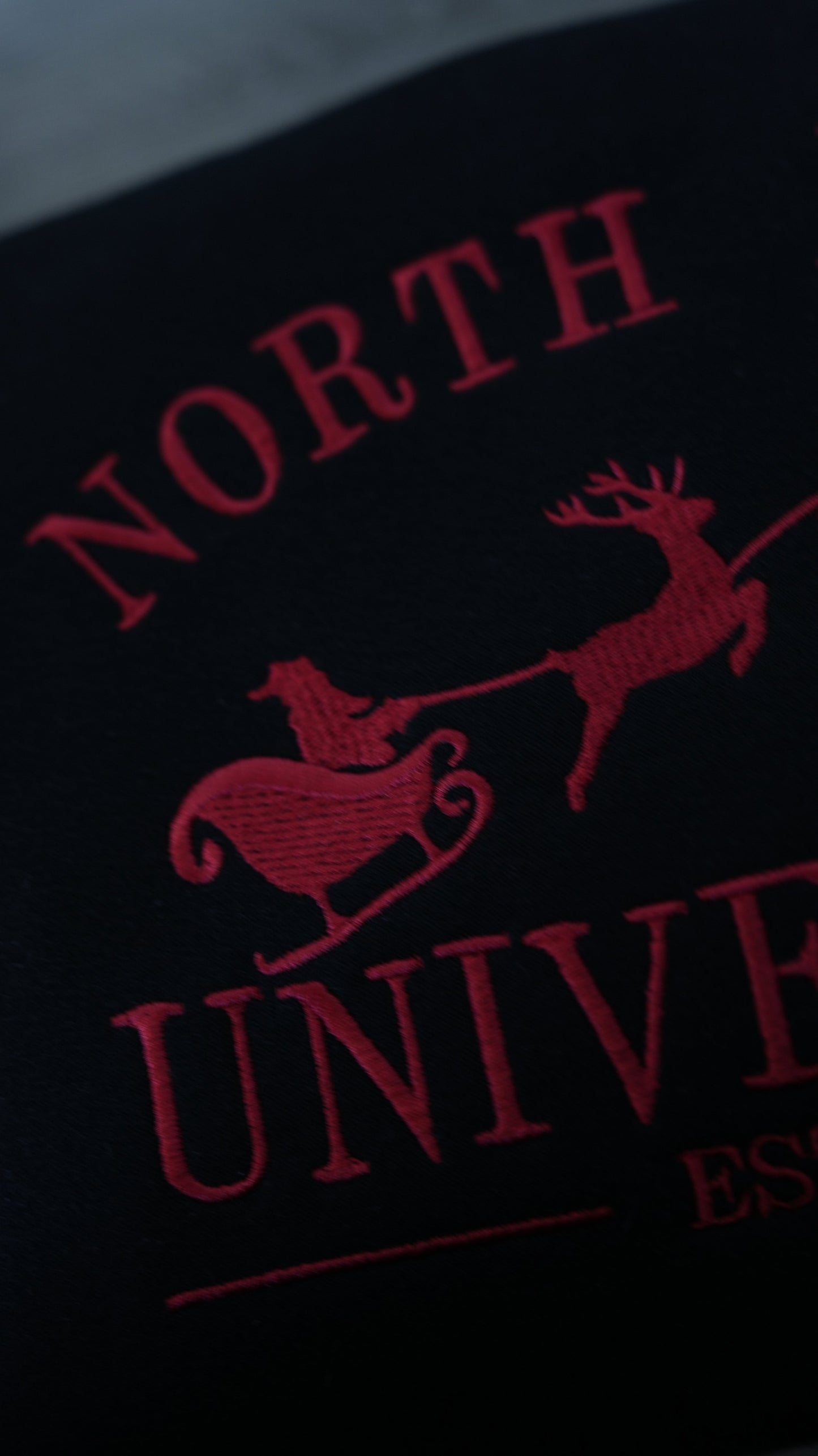 Sudadera de la Universidad del Polo Norte