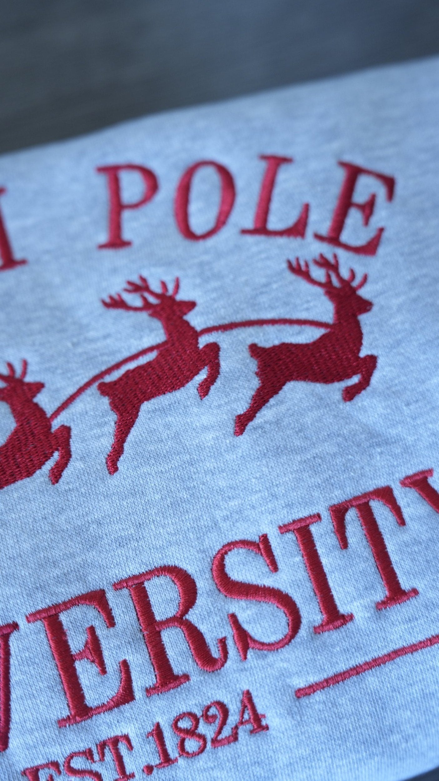 Sudadera de la Universidad del Polo Norte